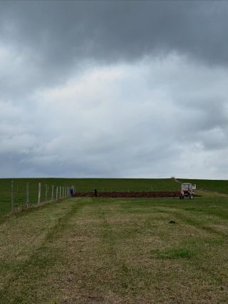 Táta Kájin dneska prásknul do koní a my vám představujeme naše lněné políčko pro přístí rok. Největší radost z toho měl...
